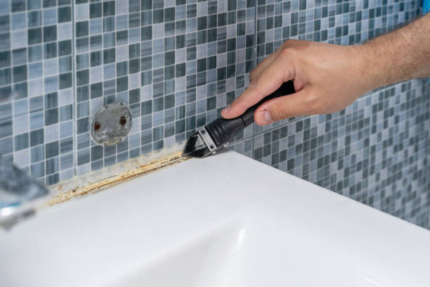Best Residential Mold Removal  in Mountain View, HI