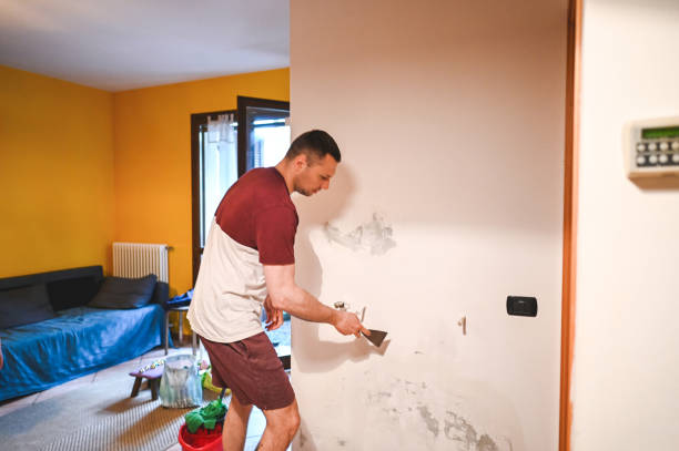 Best Mold Remediation  in Mountain View, HI